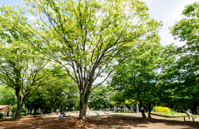 青葉台公園