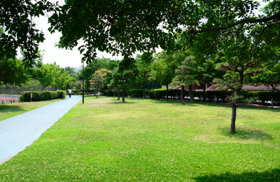 朝霞中央公園